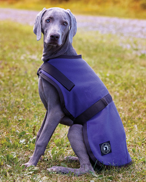 Rider’s International™ Fleece Dog Cooler