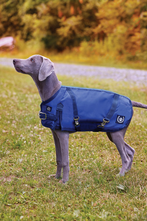 NorthWind™ Dog Turnout Blanket