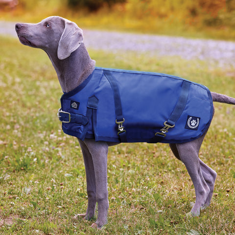 NorthWind™ Dog Turnout Blanket