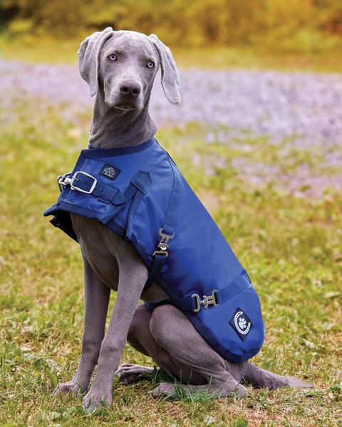 NorthWind™ Dog Turnout Blanket