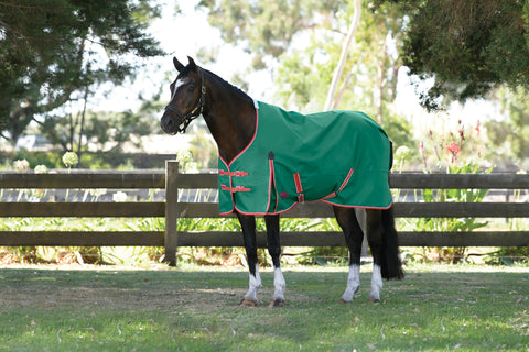 WeatherBeeta® ComFiTec™ Prelim Standard Neck Medium-Weight Turnout Blanket