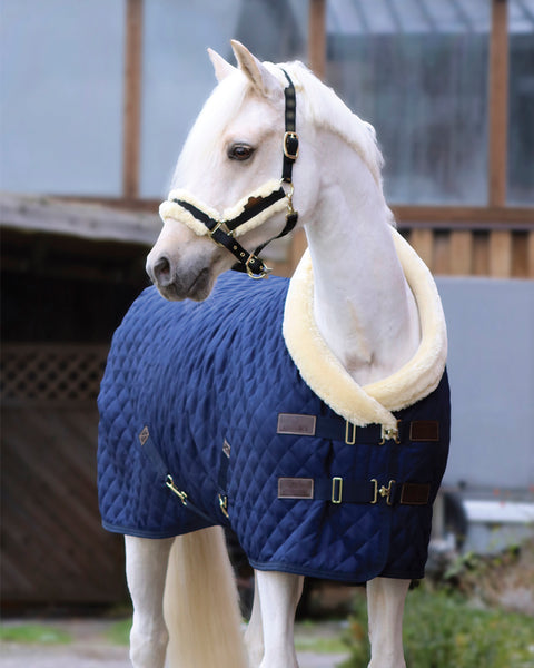 Kentucky Horsewear Show Rug