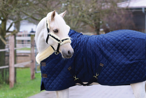 Kentucky Horsewear Show Rug