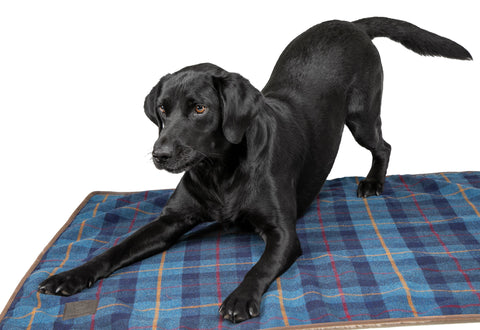 Shires Digby & Fox Large Tweed Blanket
