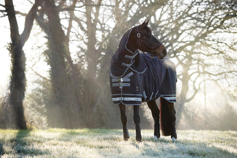 LeMieux® Arika Storm-Tek 350 Gram Turnout Blanket