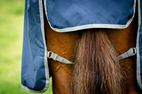 Horseware® Ireland Amigo® Ripstop 900D 200 Gram Standard Neck Turnout