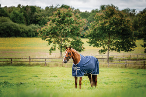 Horseware® Ireland Amigo® 900D Ripstop 0 Gram Turnout Sheet