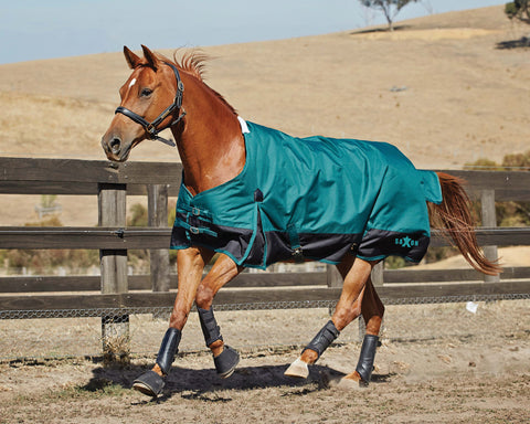 Saxon 1200D Medium-Weight Blanket with Gussets & Standard Neck II