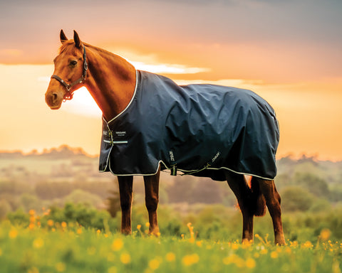 Horseware® Ireland Amigo® Ripstop 900D Standard Neck Turnout Sheet