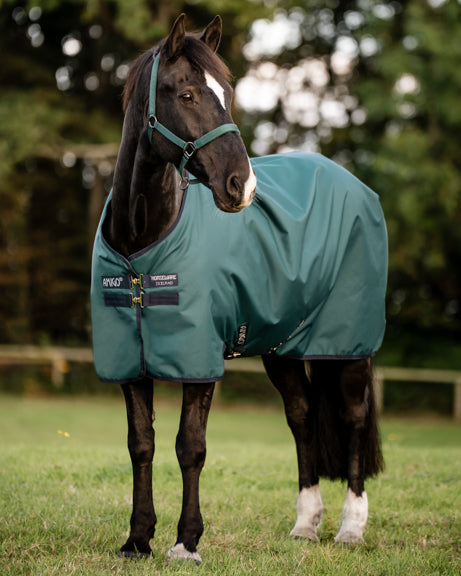 Horseware® Ireland Amigo® Ripstop 900D 100 Gram Standard Neck Pony Turnout–Seasonal Color - Dynasty Green/Navy/Silver