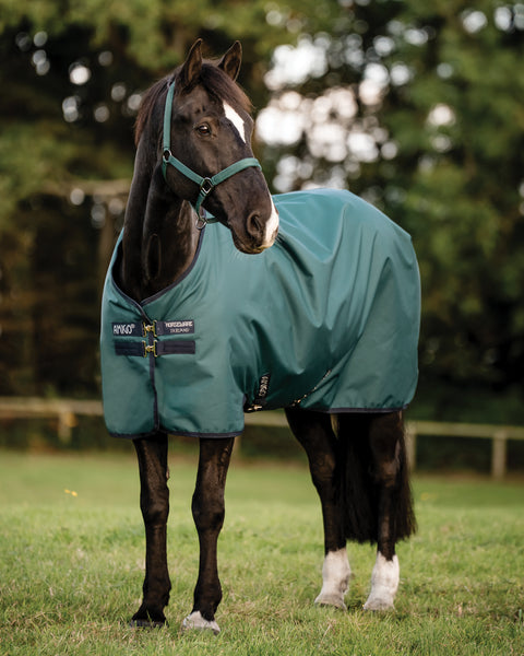 Horseware® Ireland Amigo® Ripstop 900D 100 Gram Standard Neck Turnout - Dynasty Green/Navy/Silver / 66 - Turnout