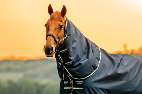 Horseware® Ireland Amigo® Ripstop 900D 100 Gram Plus Turnout - Turnout Blankets