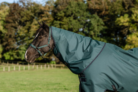 Horseware® Ireland Amigo® Ripstop 900D 100 Gram Plus Turnout - Turnout Blankets