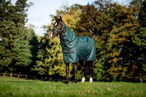 Horseware® Ireland Amigo® Ripstop 900D 200 Grams Plus Turnout - Dynasty Green/Navy/Silver / 66 - Turnout Blankets