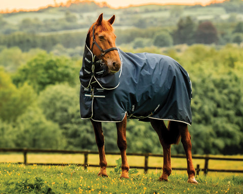 Horseware® Ireland Amigo® Ripstop 900D 200 Grams Plus Pony Turnout - Witney Navy / 57 - Turnout Blankets