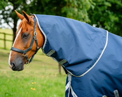 Horseware® Ireland Amigo® 1200D Plus Turnout 250 Gram