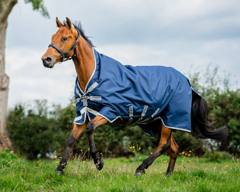 Horseware® Ireland Amigo® 1200D Wug Turnout