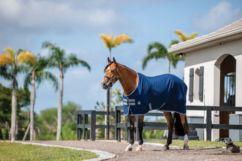 Horseware® Ireland Amigo® Stable Sheet–Core Color