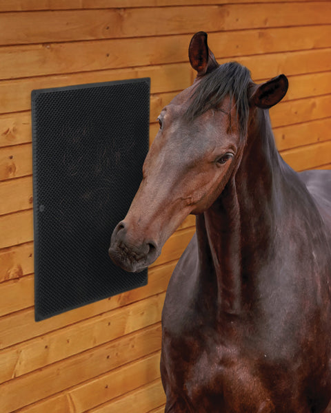 DS Equine Scratching Mat