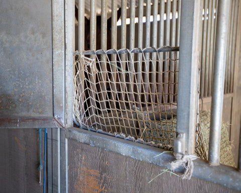 Kensington™ Freedom Feeder Adjustable Frame