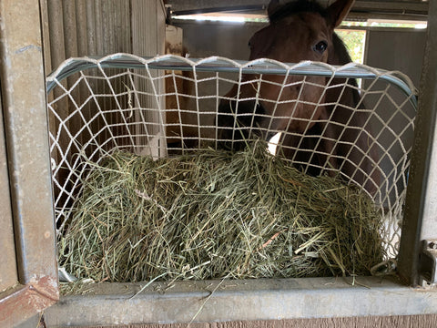 Kensington™ Freedom Feeder Adjustable Frame