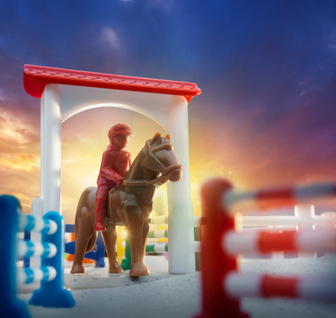 Horse Academy Logic Game