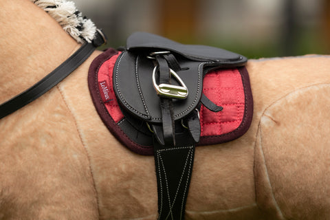 LeMieux® Toy Pony Saddle Pad