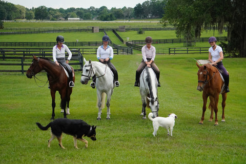 IRH® Equi-Pro Helmet with Sun Visor - Helmets