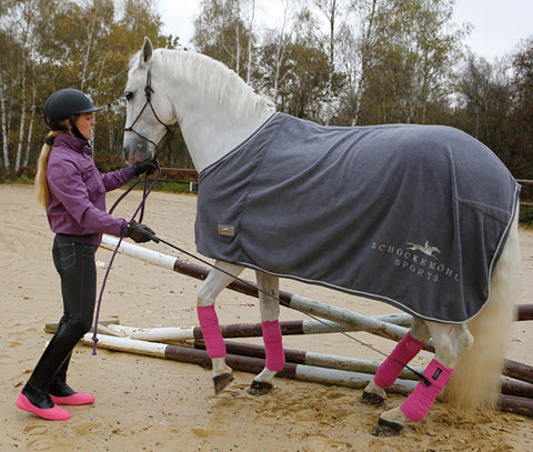 Mouillère Overshoes