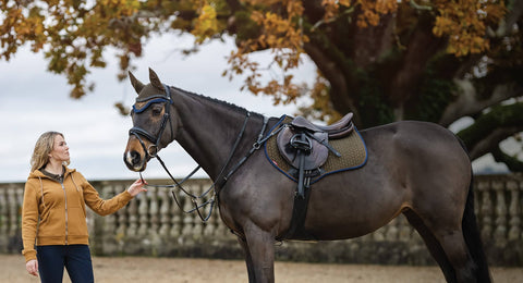 Dark brown horse with brown saddle with woman in tan hooded sweatshirt holding reins in a fall setting