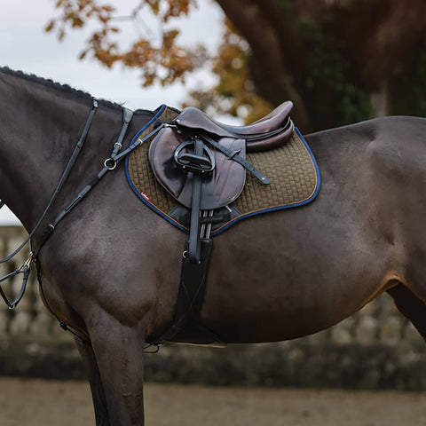 Dark brown horse with brown saddle and saddle pad