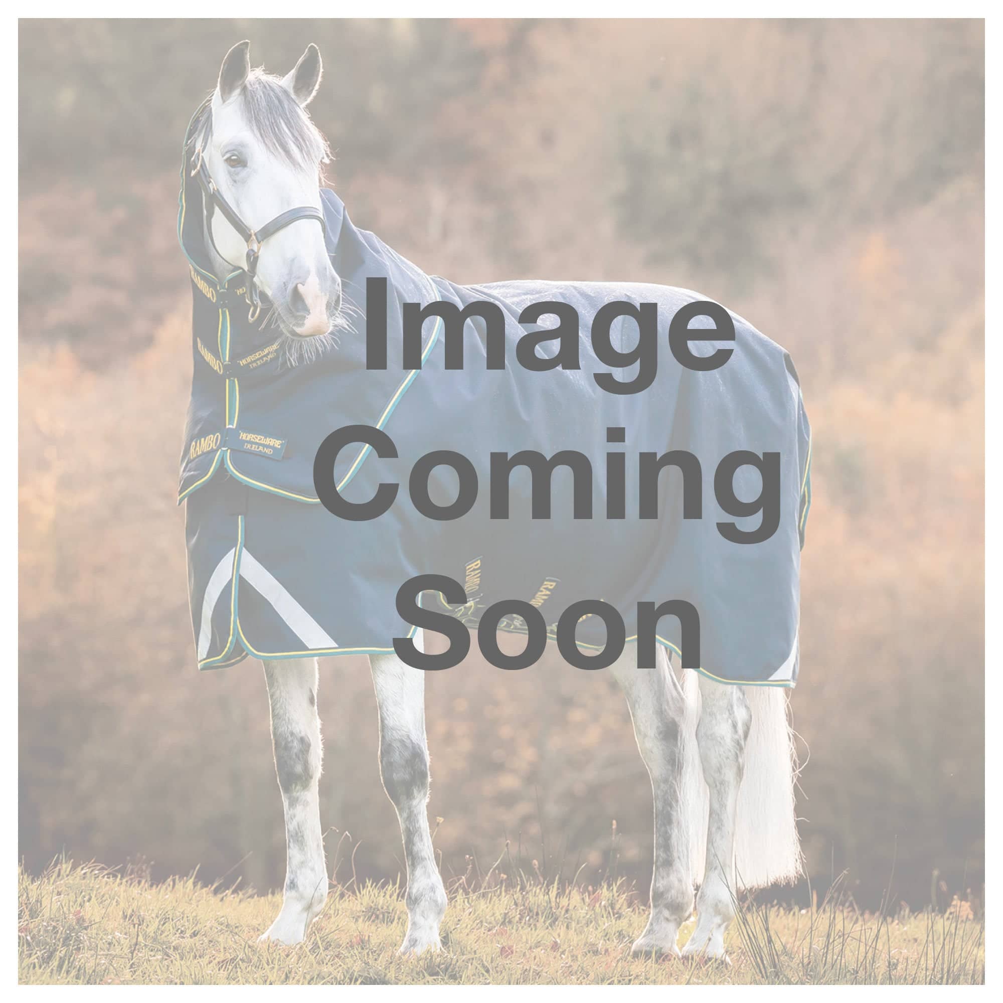 No image available