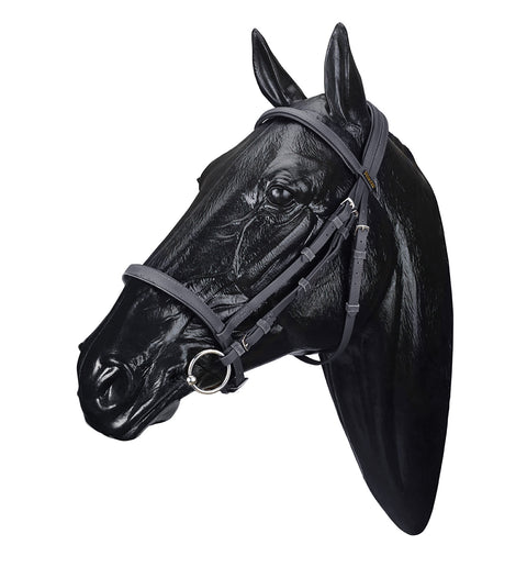 Wintec Bridle with Flash