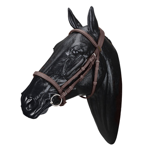 Wintec Bridle with Flash