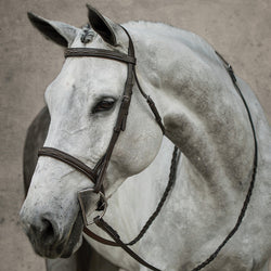 Bridles & Parts