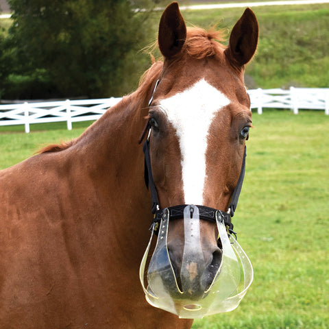 Cribbing & Muzzles