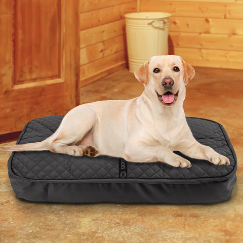 Dog Beds