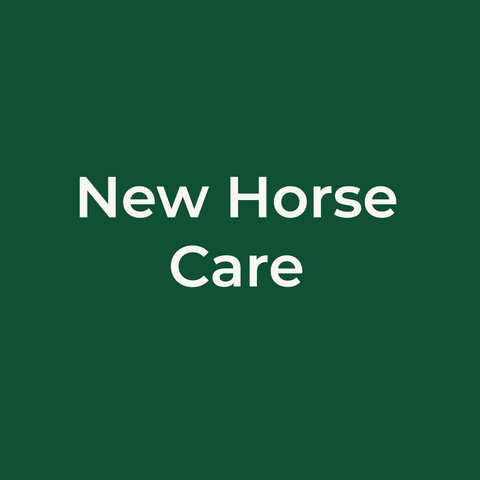 New Horse Care