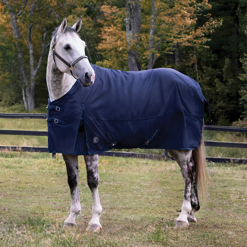 Rider’s International Supreme Turnout Blankets for ONLY $99!