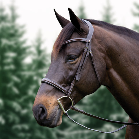 40% Off Select Tack Halters Saddle Pads and More!