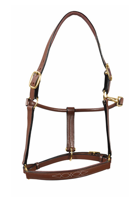 Henri de Rivel Pro Fancy Padded Rolled Throat Triple-Stitched Halter - Oakbark / Oversized - Halters Leather