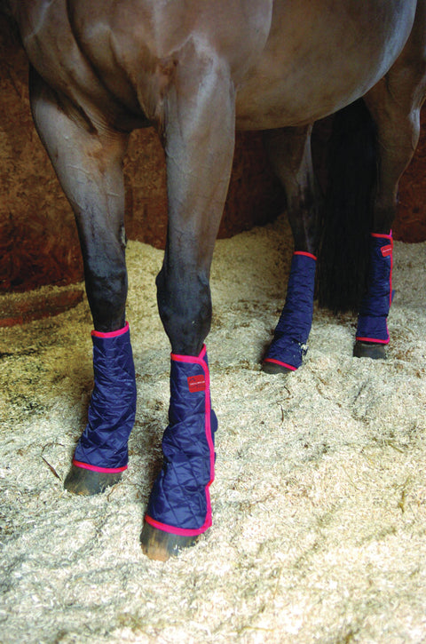 Equilibrium Therapy® Magnetic Chaps