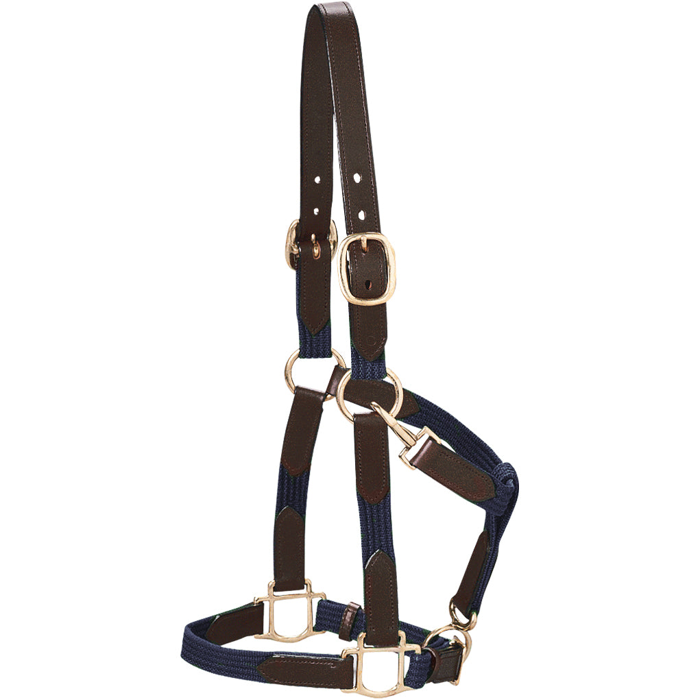Horse Halters and Leads – Dover Saddlery