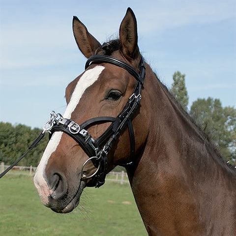 Waldhausen Wembley Leather Lunge Caveson