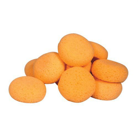 Hydra Sponge 12-pack of Tack Sponges