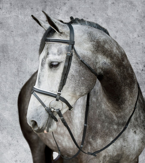 Suffolk™ Dressage Bridle