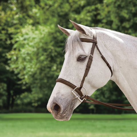 Suffolk™ Plain Raised Bridle