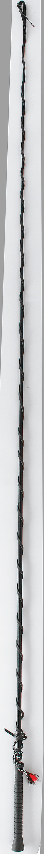 Great American Pro Lunge Whip