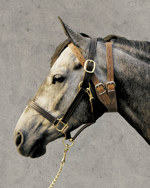 Weaver Leather® Miracle Collar®