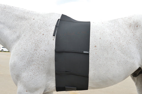 EquiFit® BellyBand™